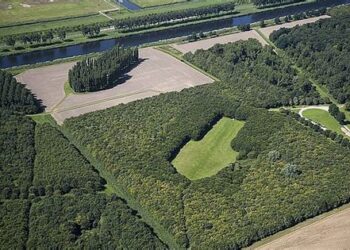 groene kathedraal